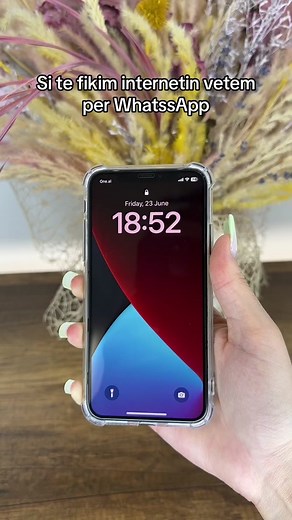 Si mund te fikim internetin vetem per WhatssApp? #techtronical #viral #blimekesteonline #fyp #explore #iphone #apple #phonehacks #smartphone