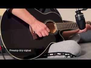 7 String Acoustic Ibanez AEL207E demo . Wet & dry sound