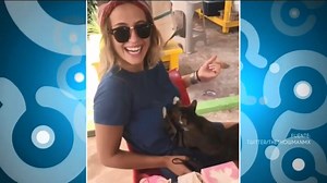 2.9M views · 698 reactions | #LoMásVisto2019 Gato da un masaje caliente con final feliz a rubia. Y los gringos ya están entrando ilegalmente a México. Encuentra todos los programas completos de Qué Importa en https://www.dailymotion.com/playlist/x66ve2 | Imagen Televisión | Facebook