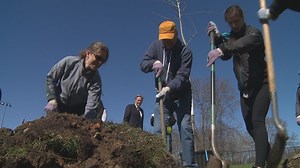 Foresters offer advice on planting new trees this Arbor Day