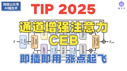【SCI一区Top TIP 2025年 IF:13.7 】“通道增强注意力”CEB，即插即用！(#AI缝合术#CV#怪#布布尔多面具#大王#研究生救星魔鬼）