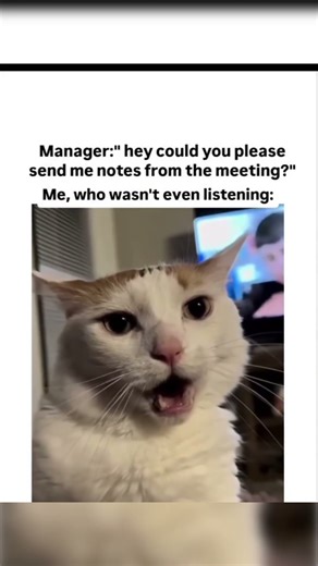 When Manager Asks for Meeting Notes but You Weren’t Even Listening 😂 | Cat Meme