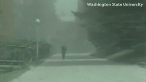 Remembering the deadly Mount St. Helens eruption 45 years later