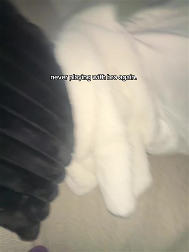 not my cracking hand 😣 #xyzbca #fypシ #fyp | bro