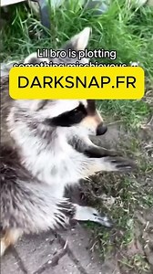 Comment hack%% un compte snapchat ?