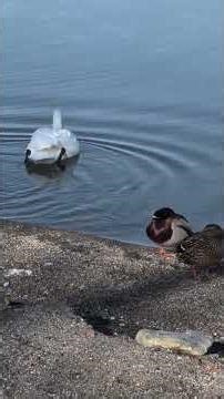 3月26日何気ない風景 #旅の道草 #北海道旅行 #道東旅行 #shorts