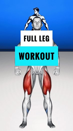 Steel Workout on TikTok