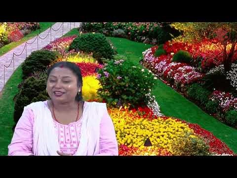 मेरा बगीचा | CLASS - 05 | CH 4 | पर्यावरण अध्ययन | EVS | पर्यावरण और हम