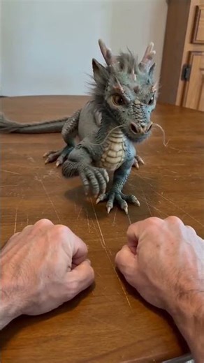subscribe for more videos...Mypetdinosaurs.....