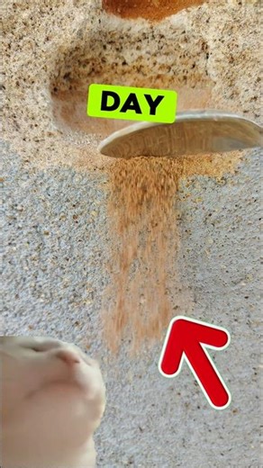 Spoon Vs Wall Brack challange Day 88 || Spoon challanging video || Spoon