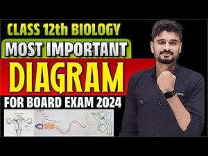 Class 12 Biology Most Important Diagrams UP Board | 12th Diagrams 2024 Board Exam