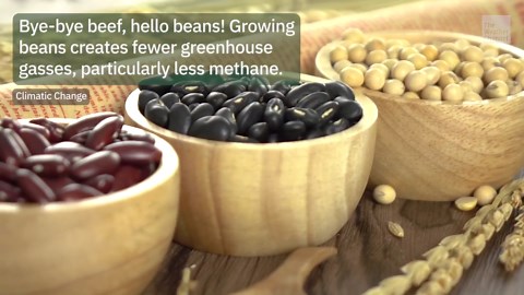 Simple Grocery Swaps That Can Have A Big Climate Impact