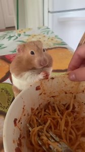 Mmm... che fame 🤤 | Checco Smile