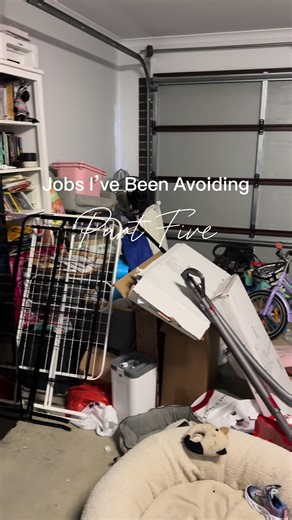 Garage Declutter and Organization: Clean up and Get Organized!