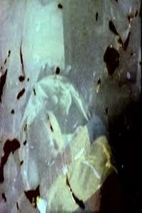 Fall U.S. (2006) - Movie