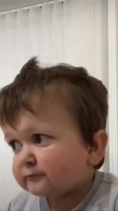 29K views · 407 reactions | Hasbulla eating meme Hasbulla #hasbulla #hasbullah #hasbullamagomedov #hasbullahuschetsiky #russia #ufc #mma #khabib #tiktok #hasbik #dagestan #funny #fypviralシ #trendingreelsvideo #ufc #trendingnow | Hasbulla Army | Facebook