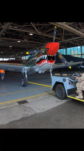 Bringing out the P-40 Warhawk at American Airpower Museum | Avgeekery.com