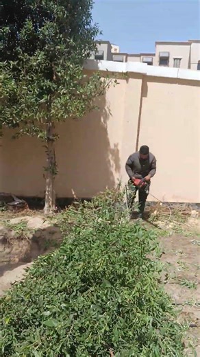 Good Work | Using a Trimmer 🪚