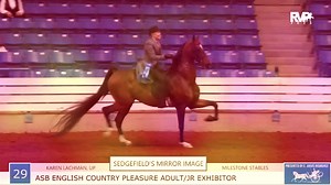 1.2K views · 49 reactions | It just keeps getting better, here, at the 2023 Southern Saddlebred Spring Fling Horse Show! Feast your eyes on this evening's champions, and don't miss another exciting session, streaming LIVE tomorrow morning at 10 am CDT on rvp.tv! | Richfield Video Productions | Facebook