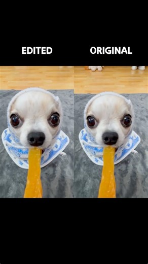 Original vs. Edited #yodajjeom #tutorial