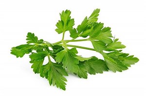 Chervil - Alchetron, The Free Social Encyclopedia