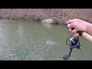 Winter Crappie Fishing 2019! Live Minnows and Bobber Rig