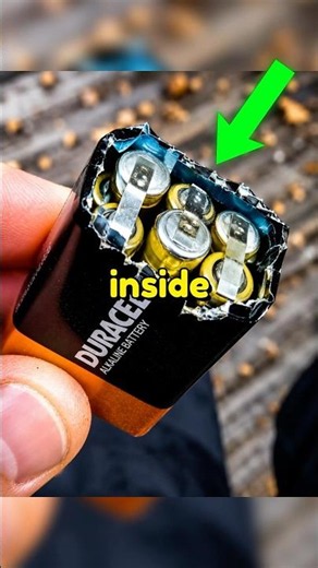 The Weird Secrets Hidden Inside Everyday Things 😰