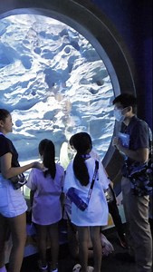 58K views · 308 reactions | Dive into a sea of fun and learning with Junior Ocean Protector: Behind-the-Scenes!  Let the little ones explore the wonders of the ocean and experience the ins and outs of everyday life at S.E.A. Aquarium. Limited slots available, happening from now until 31 Dec. Find out more: www.rwsentosa.com/JOP #SeaofMerryWonders #SEAAquarium #RWSMoments | Resorts World Sentosa | Facebook