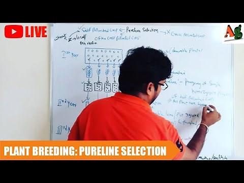 Pureline Selection Method of Plant Breeding | Pureline Theory | Concept of Pureline | Agriculture