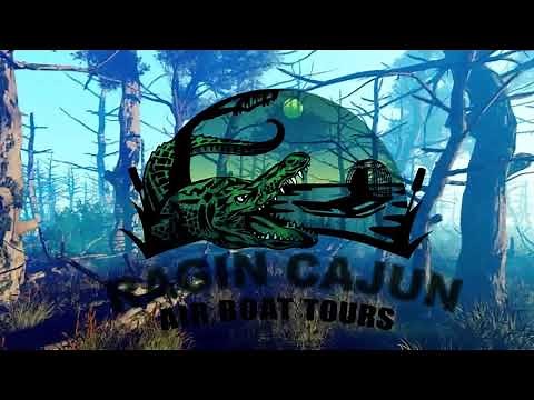 New Orleans Best Swamp Tour - Ragin Cajun Airboat Tours