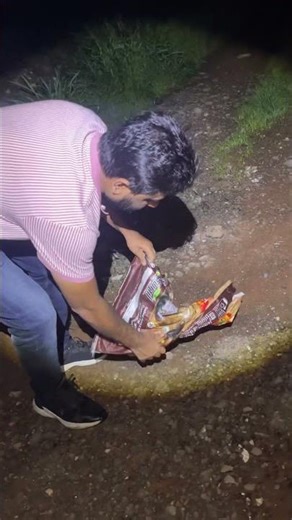 Most aggressive snake #shortsfeed #shorts #snake #manyar #kraitsnake #मण्यार #cobra #short #viral