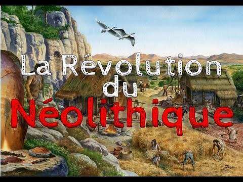 The Neolithic Revolution