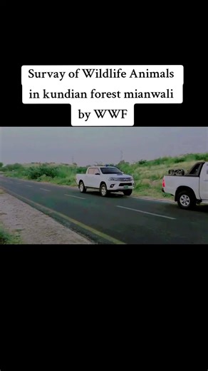 Wildlife Survey in Kundian Forest by WWF