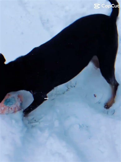 WHY DO YOU NEED TO RUN AWAY