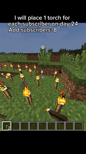 I will place 1 torch for each subscriber on day 24 #minecraft #torch #dailyvideo