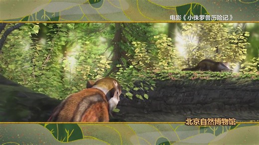 "Museum Talk"-"Beijing Museum of Natural History: Chinese Jurassic Beast". 《博物馆说》之“北京自然博物馆：中华侏罗兽”。 #China #culture #tradition #museum #history #mammal #natural #Beijing #Jurassic #beast | 新加坡中国文化中心 China Cultural Centre in Singapore