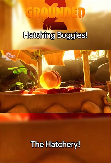 Hatching Buggies in Grounded 2: New Game Features