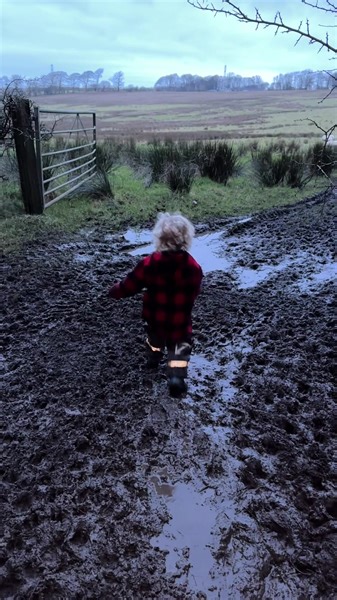 We’re improving his essential farming skills every day ☺️ Just need to negotiate the mud and a few rashes 😅🤣 | The Sheep Game