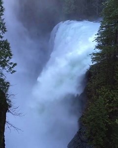 173K views · 3.5K shares | Las lluvias del invierno en la Costa de BC crean las condiciones ideales para los amantes de las cascadas. Este es Elk Falls Provincial Park en Campbell River, British Columbia, una de las tantas casacadas de la Isla de Vancouver, filmado recientemente por @redhotash. | Super, Natural British Columbia | Facebook