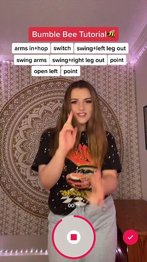 Bumble Bee Dance Tutorial: Step-by-Step Guide for Beginners