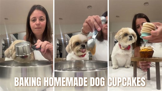 Baking Homemade Dog Cupcakes with Stella