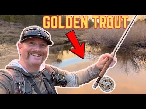 FLY FISHING CALIFORNIA - Small Stream Golden Trout