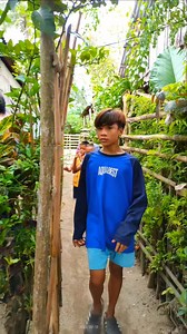 6.1K views · 85 reactions | Traditional na tuli sa probinsiya  #reels #reelsfb #reelsvideo #reelsviral #reels2023 #fypシ゚viral #fyp #foryourpage #viralreels #samartv #buhayprobinsiya #tradisyonalnatulisaprobinsiya #pagtutuli #tuliansaprobinsiya | Samar TV | Facebook