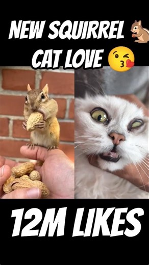 new squirrel goes viral on internet explorer 😮 🐿️ #cute #squirrel #funny