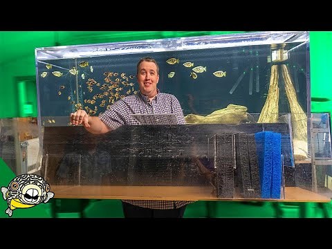 DIY Aquarium Sump Filter
