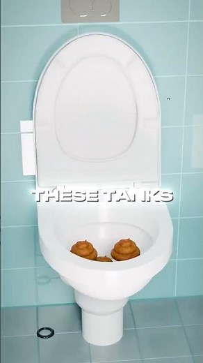 What Happens to Airplane Toilet Waste? 💩✈ The Truth Revealed!