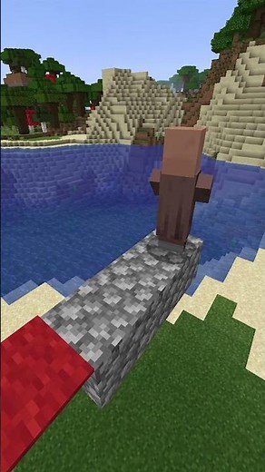 Minecraft Carpet Trick