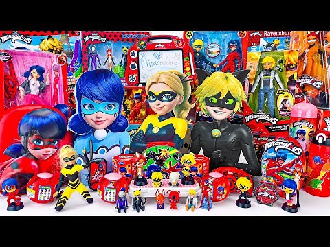 Miraculous Ladybug Toys Collection ASMR Unboxing Review | Mystery Cat Noir & Ladybug Surprise Boxes