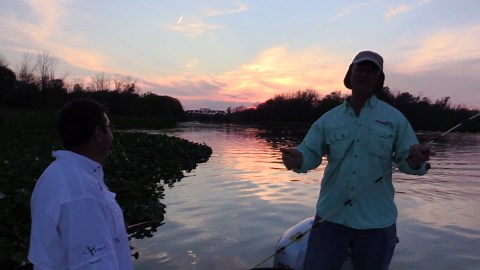 What works better for catching catfish at night? Liver or cut bait?