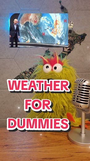 Funny New Zealand Weather Forecast: Rain, Heat, and Dumb Humor